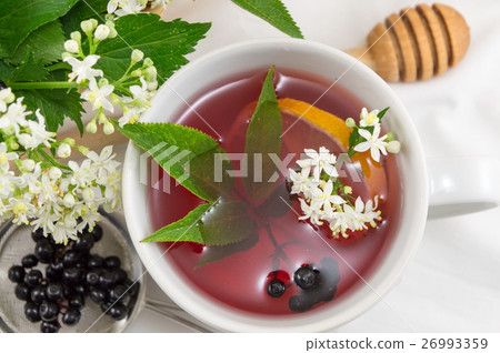 Fresh elderberry tea Fresh elderberry tea 26993359