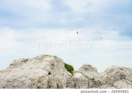 Wakayama Shirasaki Marine Park Wakayama Shirasaki Marine Park 26994981