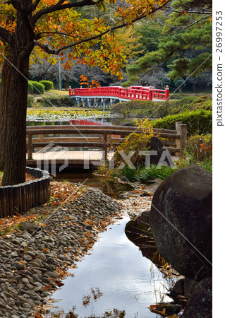 Iwatsuki Castle Ruins Park - Yatsubashi和Irish Pond Iwatsuki Castle Ruins Park - Yatsubashi和Irish Pond 26997253