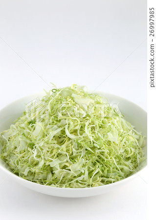 Shredded cabbage Shredded cabbage 26997985