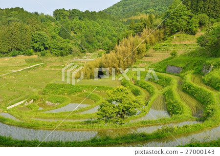 Rice terraces 27000143