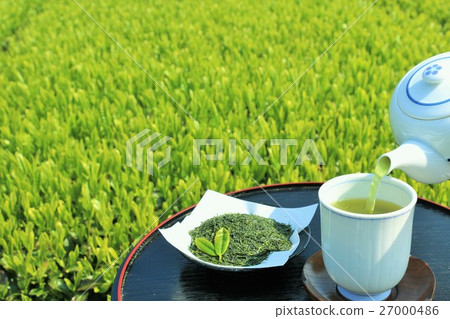 New green tea fields and new tea New green tea fields and new tea 27000486