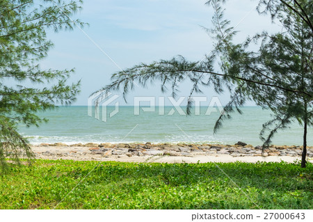 View sea beach with tree View sea beach with tree 27000643