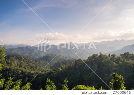 Tropical rain forest landscpae 27000646