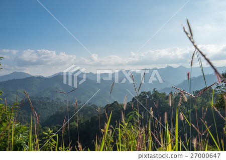 Meadow mountain blue sky scenic 27000647