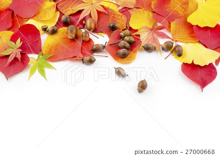 An image of autumn leaves fall 27000668