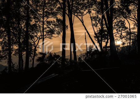 Scenic forest hill sunrise at national park Scenic forest hill sunrise at national park 27001065