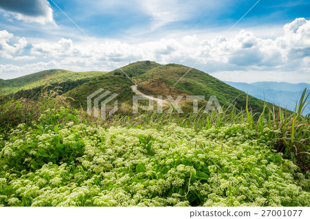 Mountain hill curve way Mountain hill curve way 27001077