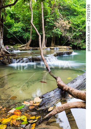 Waterfall branch leaf colorful Waterfall branch leaf colorful 27001596