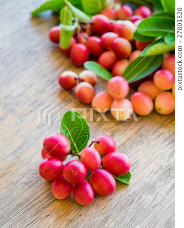 Carunda,Karonda,Carissa carandas,Apocynaceae 27001820