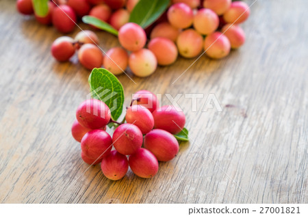 Carunda,Karonda,Carissa carandas,Apocynaceae 27001821