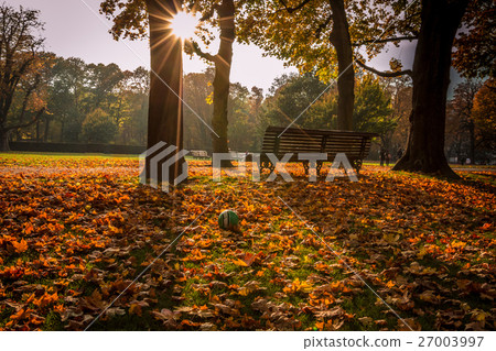 Colours of Autumn in Brussels Colours of Autumn in Brussels 27003997