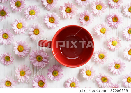 pink chrysanthemum flowers pink chrysanthemum flowers 27006559