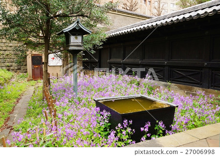 花·Hanadai con的水平位置在春天東京旅遊勝地·Yushima大教堂的前提下開花 27006998