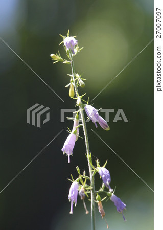 Tuliganinjin Tuliganinjin 27007097