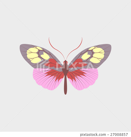 Colorful icon of butterfly isolated on white 27008857
