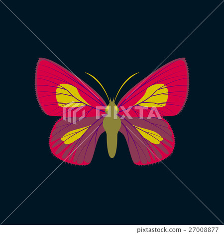 Colorful icon of butterfly isolated on dark blue Colorful icon of butterfly isolated on dark blue 27008877