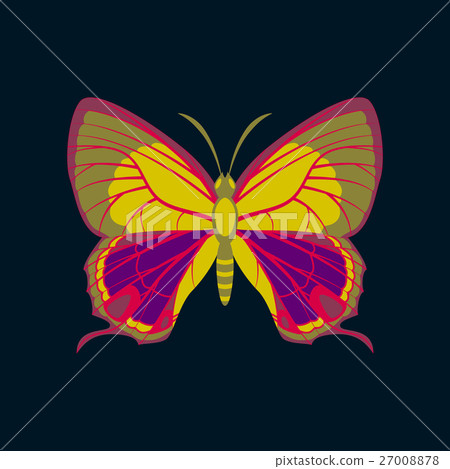 Colorful icon of butterfly isolated on dark blue 27008878