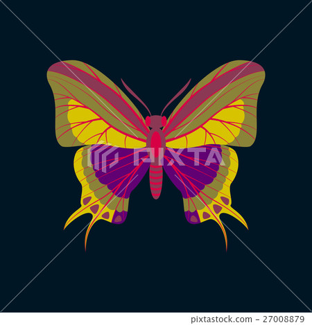 Colorful icon of butterfly isolated on dark blue Colorful icon of butterfly isolated on dark blue 27008879