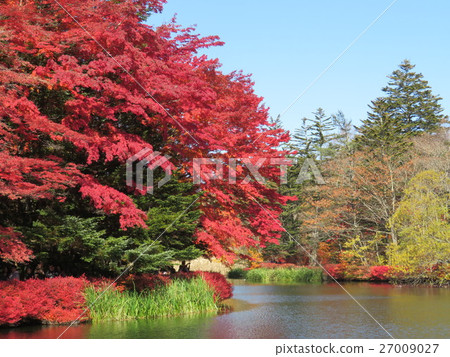 Autumn leaves of the cloud pool pond 27009027