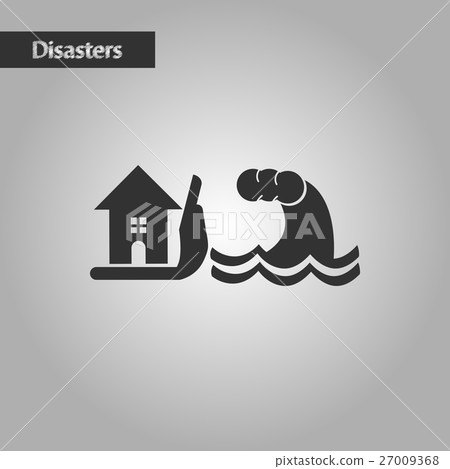 black and white style flood house 27009368