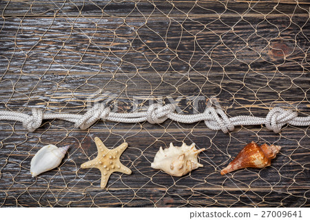 sea shells and rope on old dark boards 27009641