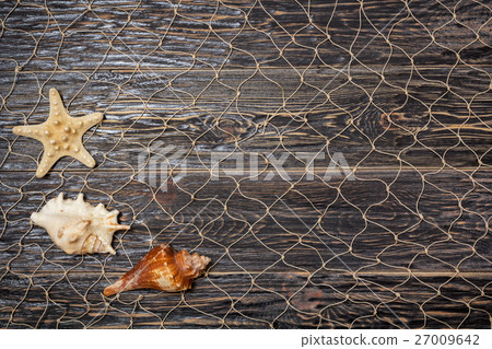 sea shells on old dark boards sea shells on old dark boards 27009642