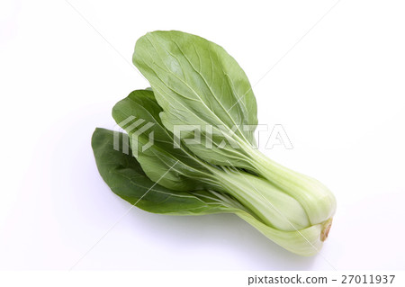 Bok-choy 27011937