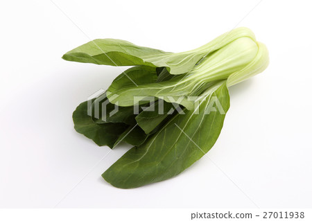Bok-choy 27011938