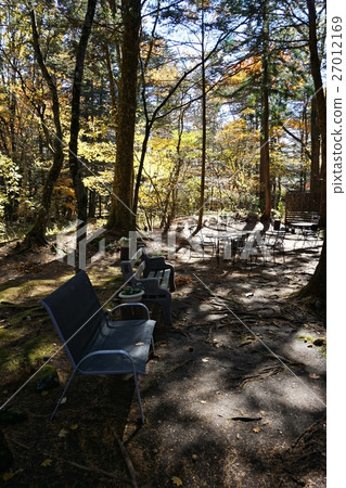 The forest of Karuizawa and the bench celebrating the season of autumnal leaves 27012169