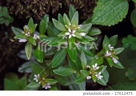 Hama Bosch Isehama Coast 27012475