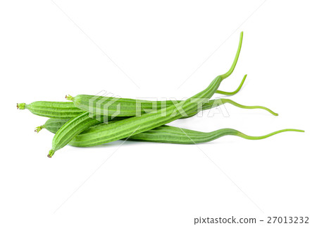 fresh luffa acutangula isolated on white fresh luffa acutangula isolated on white 27013232