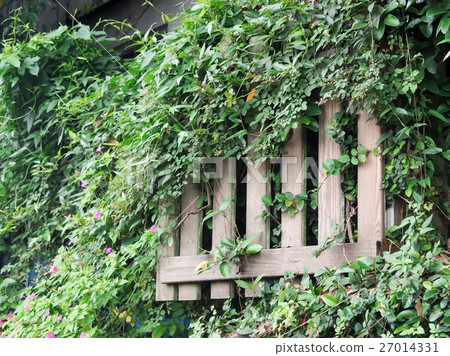 荒廢的柵欄 27014331