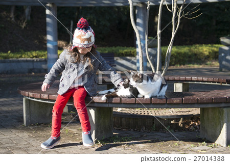 一個女孩和一隻貓一起玩 27014388