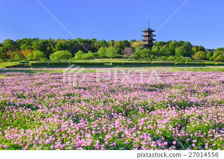 岡山縣_Bicaku國分寺5層寶塔 27014556