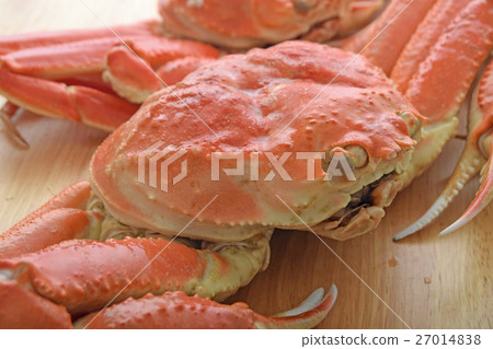 雪蟹 雪蟹 27014838