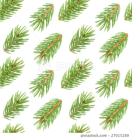 Seamless pattern of fir tree branches Seamless pattern of fir tree branches 27015289