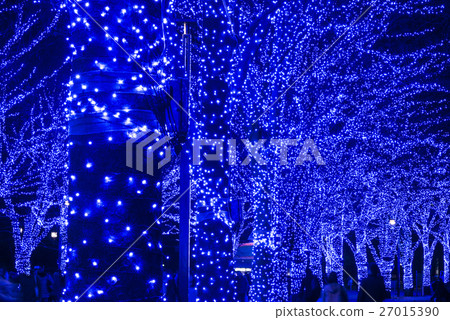 Blue cave SHIBUYA Zelkova trees 27015390