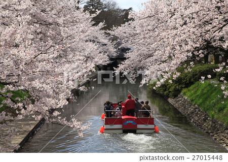 富山市：松川的櫻花與遊覽船 27015448