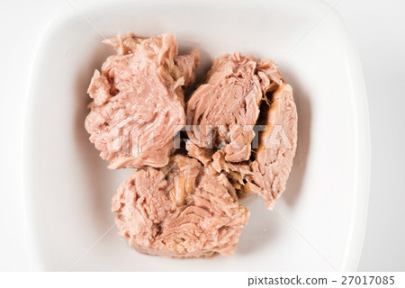 tuna fish tuna fish 27017085
