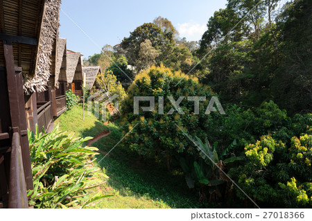 Madagascar beautiful landscape 27018366