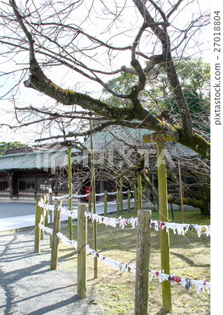 Inside the precincts of Miyajimake Shrine 27018804