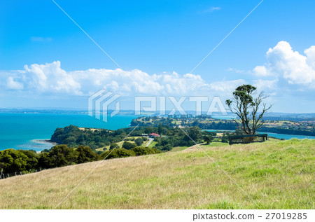 Shakespear Regional Park, Auckland New Zealand. Shakespear Regional Park, Auckland New Zealand. 27019285