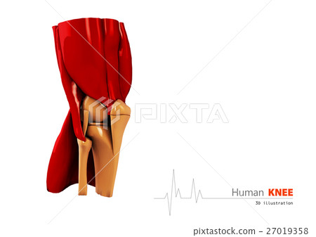 3d Illustration of Human knee abstract 3d Illustration of Human knee abstract 27019358