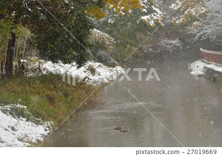 Meanuma paddy: Imanuma substitute water east edge Meanuma paddy: Imanuma substitute water east edge 27019669