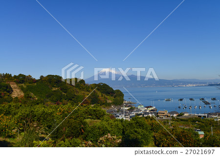 [靜岡縣]橘山和駿河灣上的富士山 27021697