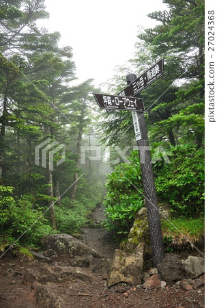 Kita Yatsugatake的山路 Kita Yatsugatake的山路 27024368