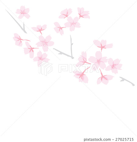 佐倉花和分支例證斜向一邊 佐倉花和分支例證斜向一邊 27025715