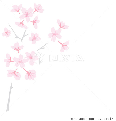 Sakura flowers and branches illustration vertical Sakura flowers and branches illustration vertical 27025717
