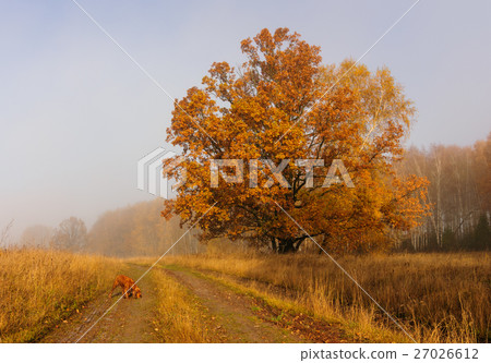 Autumn landscape in Russia Autumn landscape in Russia 27026612